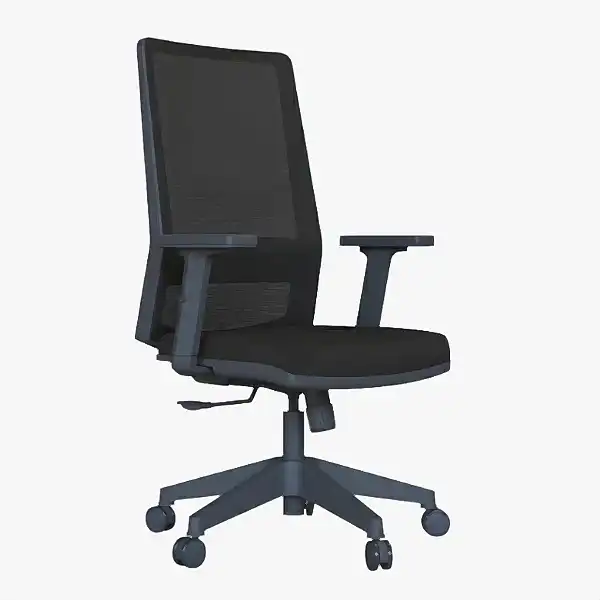 Ritim Bel Destekli Çalışma Koltuğu