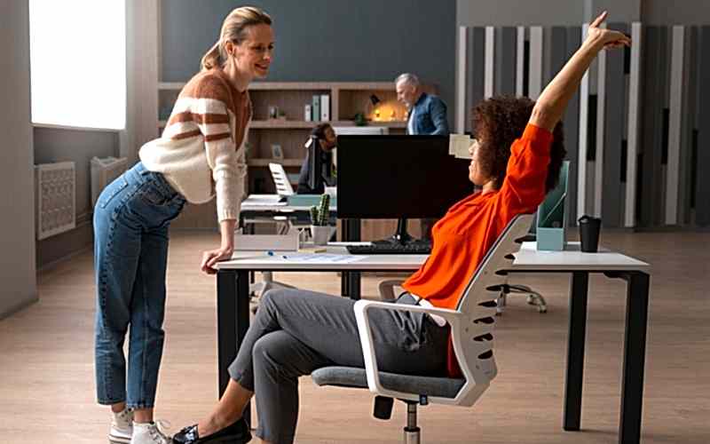 Ergonomik Ofis Sandalyeleri