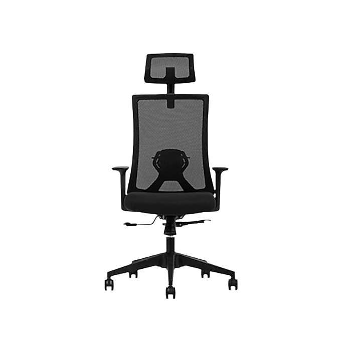 KAMPANYALI | Albina Ergonomik Fileli Koltuk