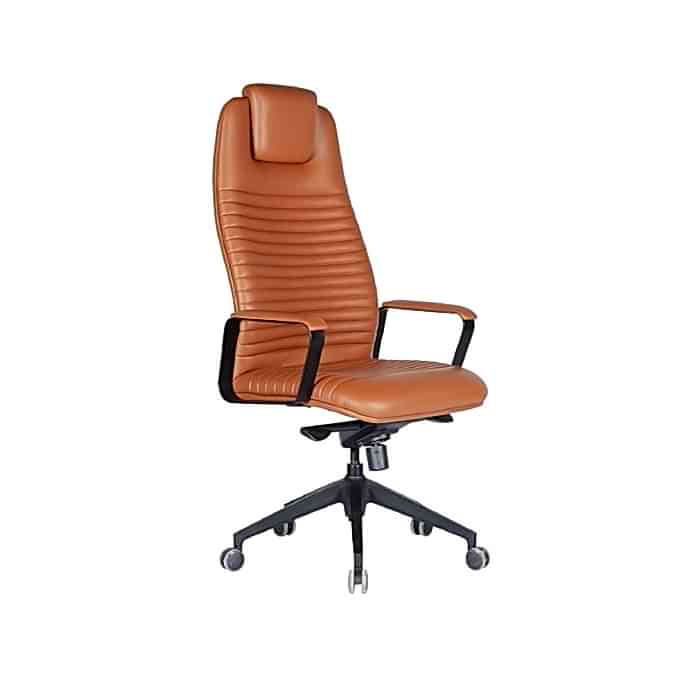 Kapri Yönetici Koltuğu