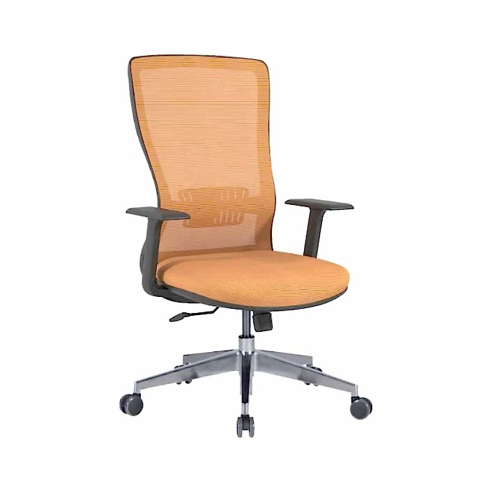 Karya Fileli Çalışma Koltuğu