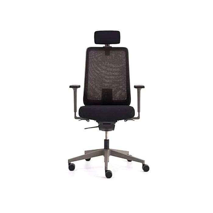 Mou Pro Dynamic Başlıklı Antrasit Çalışma Sandalyesi