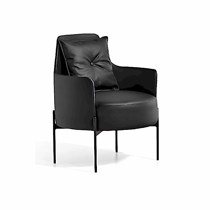 Mozart Misafir Koltuğu