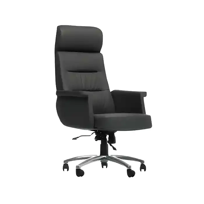 Nitro Yönetici Koltuğu