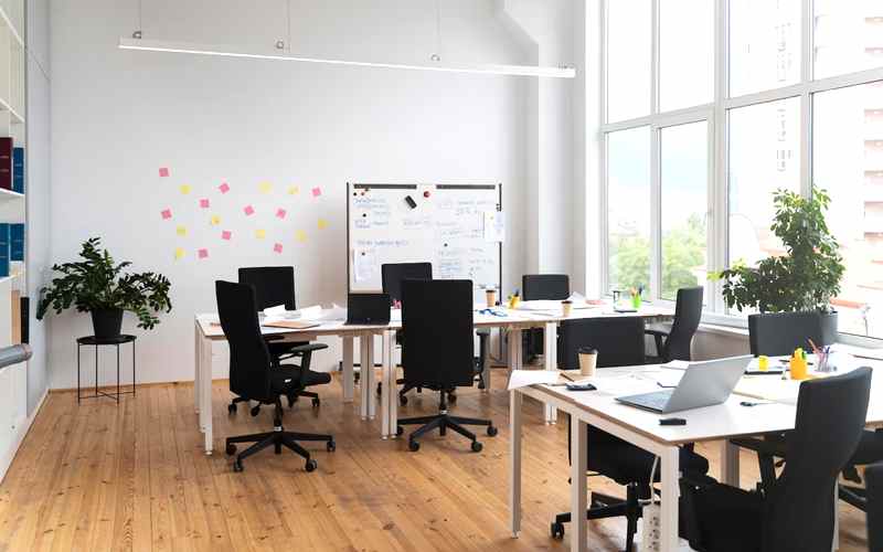 Ofis Çiçekleri Nelerdir? İsimleri Nelerdir?