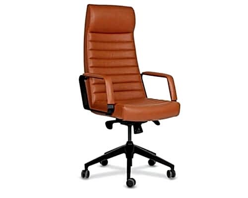 Rose Yönetici Koltuğu (Plastik Ayak)